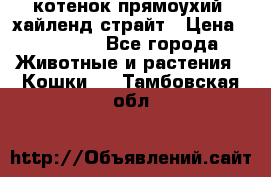 котенок прямоухий  хайленд страйт › Цена ­ 10 000 - Все города Животные и растения » Кошки   . Тамбовская обл.